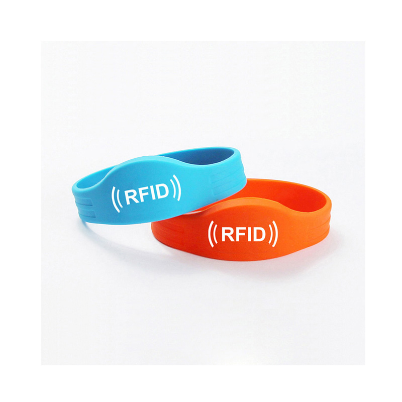 ���ֳ��轺���