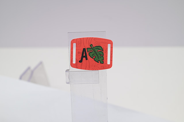 �����Żݿ�������ôд������������